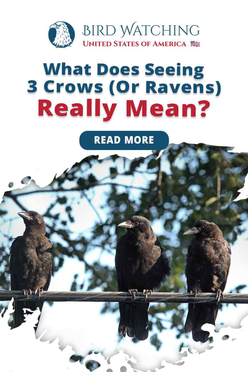 What Does 3 Crows Mean In The Bible