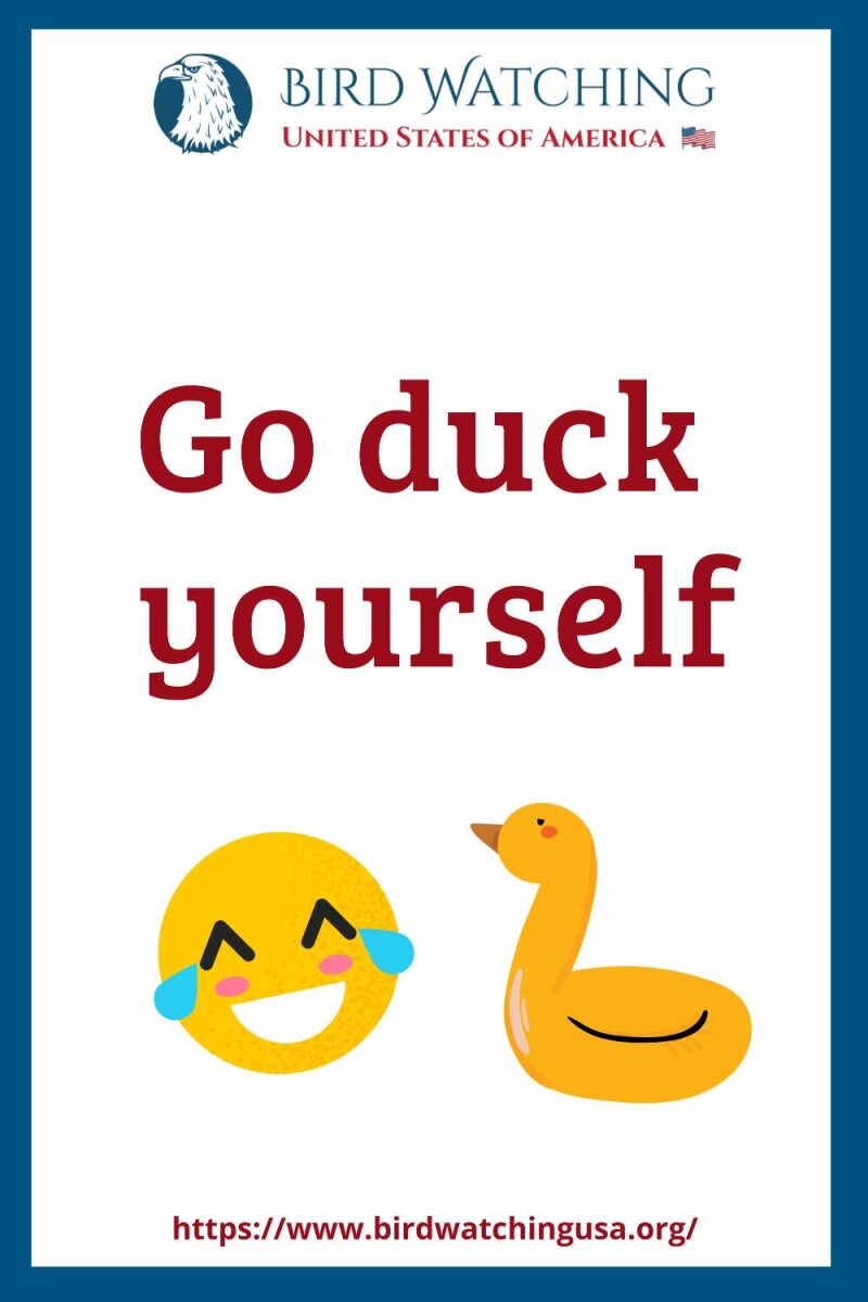 51 Funny Duck Puns & Pictures to Make You Smile!