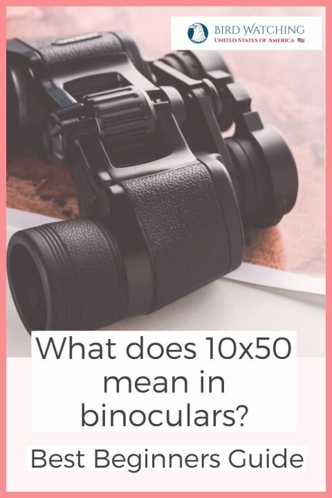 what-does-10x50-mean-in-binoculars-best-beginners-guide