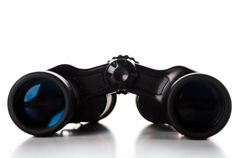 what-does-10x50-mean-in-binoculars-best-beginners-guide