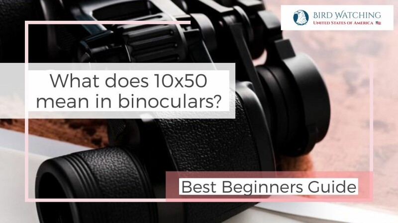 what-does-10x50-mean-in-binoculars-best-beginners-guide